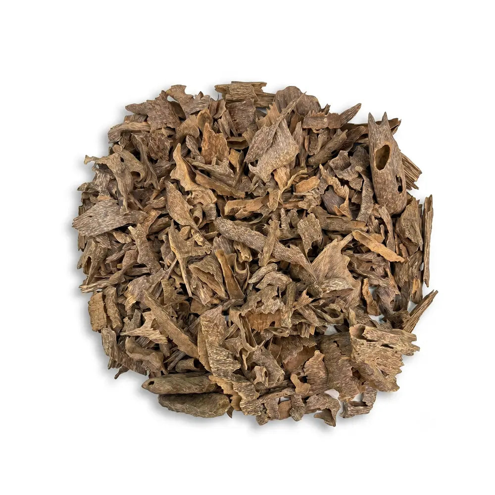 Burmese Oud VIP - Tola